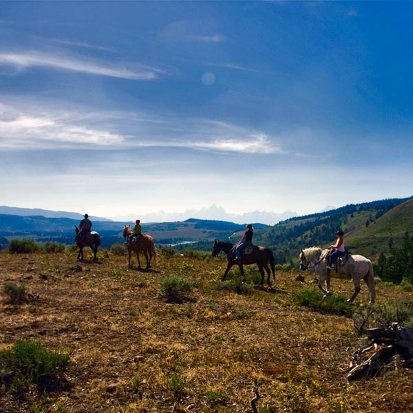 Wyoming Hunting Outfitters - Daily Trail Rides