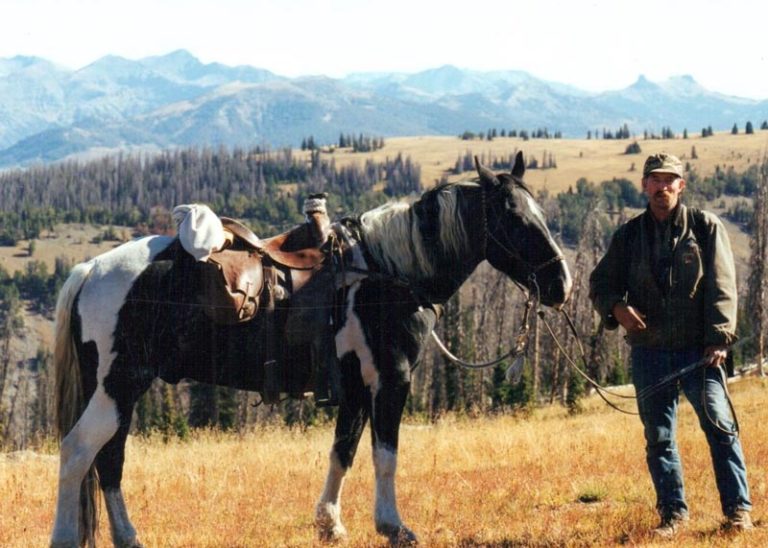 History Yellowstone Outfitters Horseback Riding Pack Trips