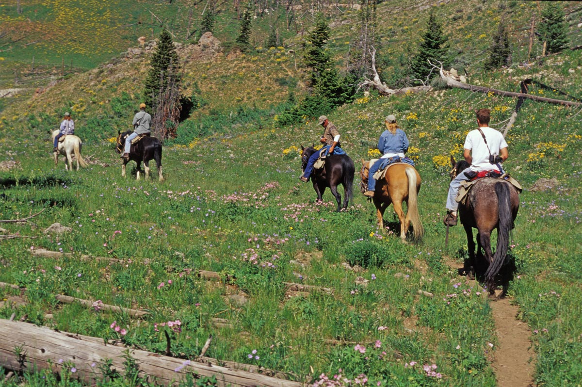 horseback pack trips wyoming