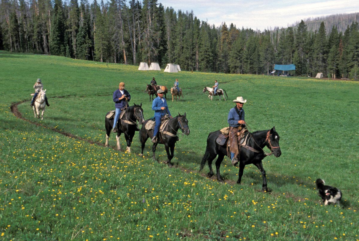 horseback pack trips wyoming