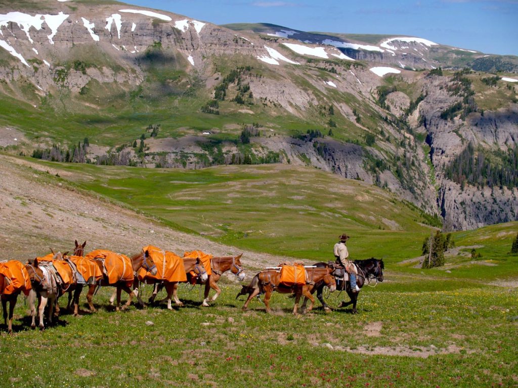 Yellowstone Horseback Riding Pack Trips Yellowstone Outfitters
