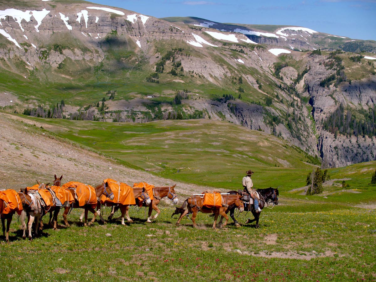 horse pack trips in yellowstone