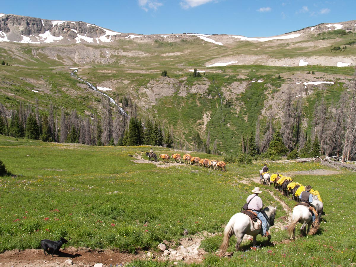 horseback pack trips wyoming