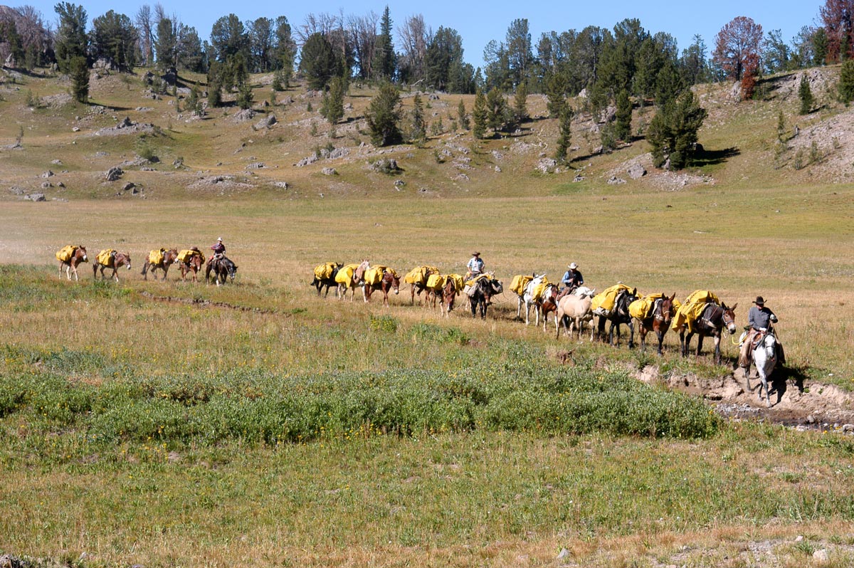 horse pack trips in yellowstone