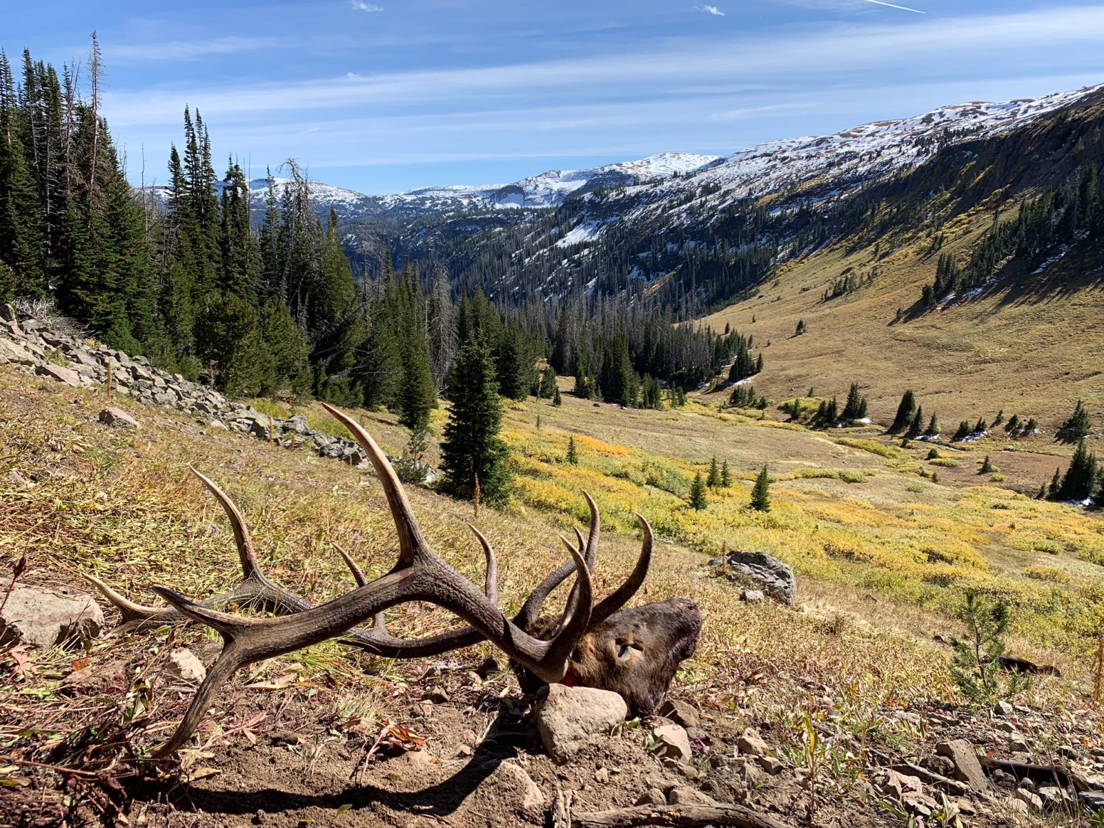 guided elk hunting trips in wyoming