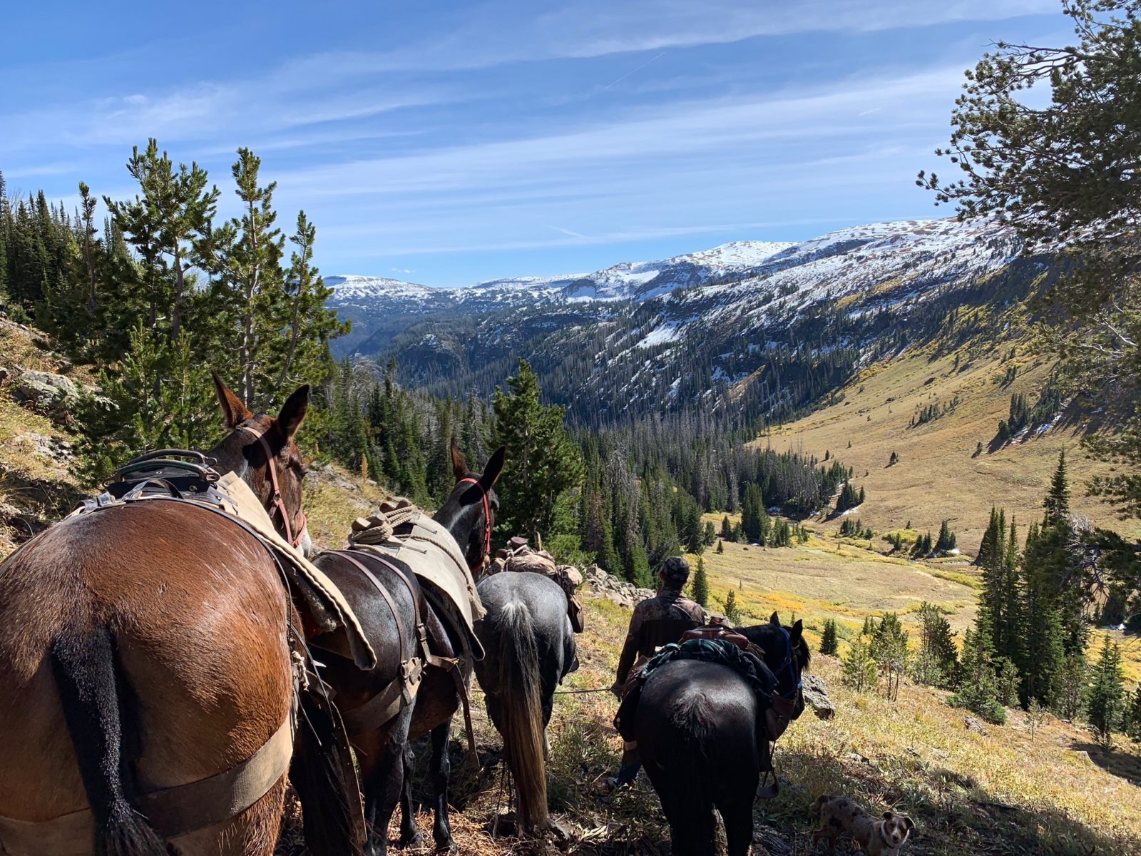 hunting trips in wyoming