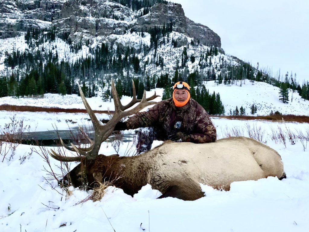 Wyoming Elk Hunting Outfitters Guided Trips Yellowstone Outfitters