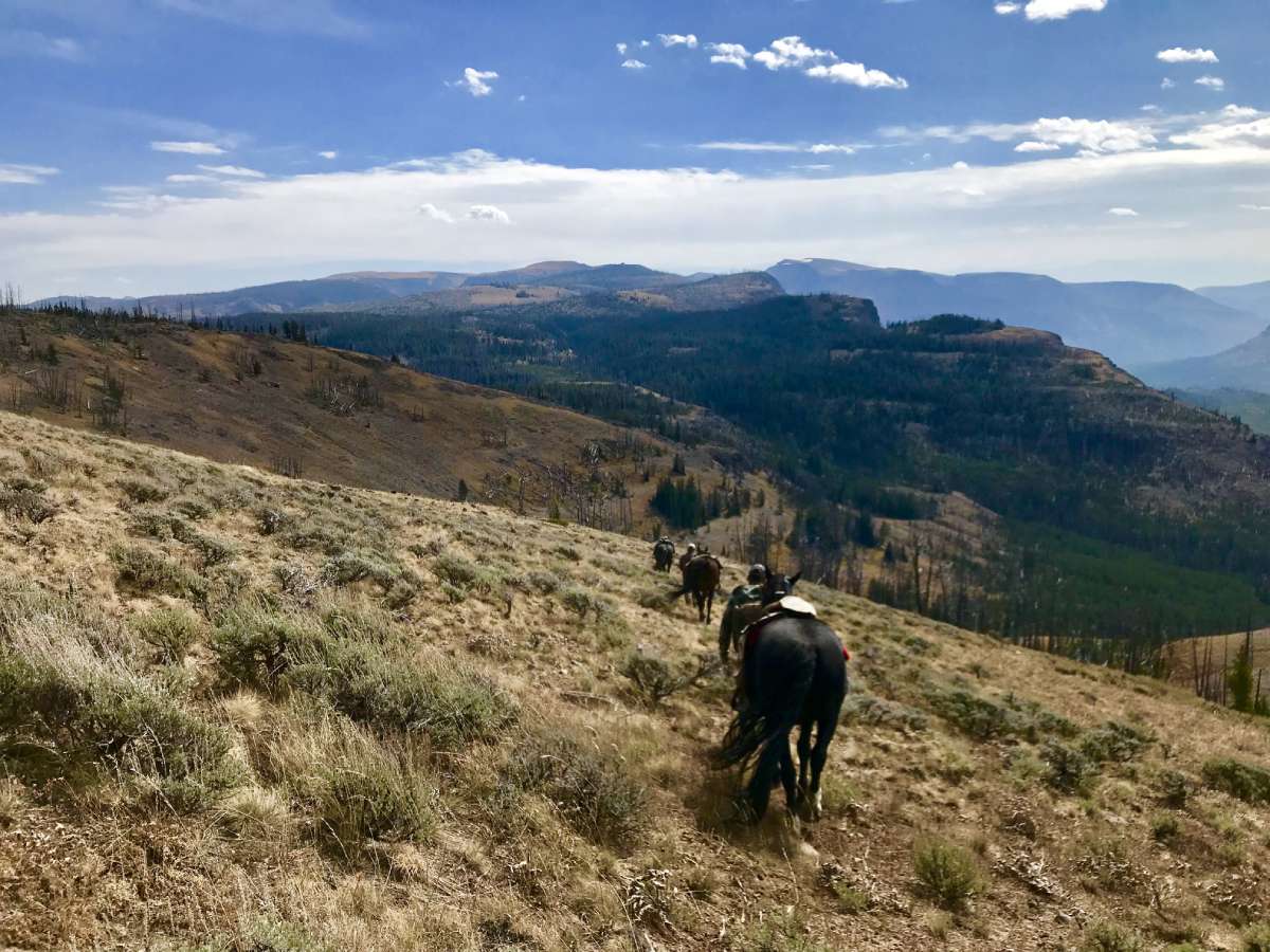 Yellowstone Gateway - 2018 Hunting